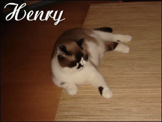 18 Henry gro
