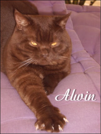 2 Alwin
