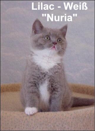 29 Nuria