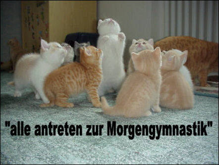 30 O und P Wurf