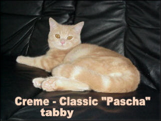 33 Pascha