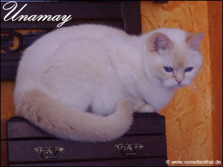 Unamay