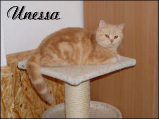Unessa gro