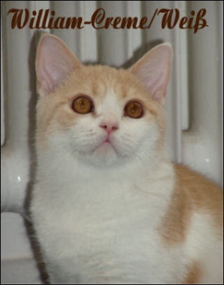 William
