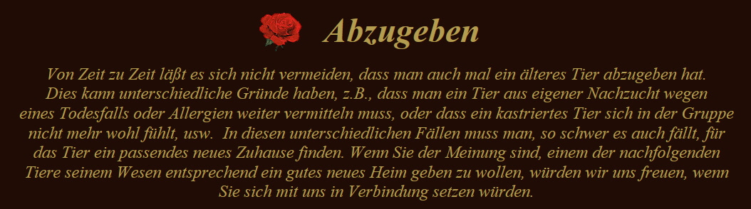 Abzugeben-Text-