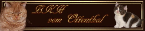 BKH-vom-Ottenthal-Banner-2