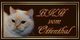 BKH-vom-Ottenthal-Banner-3