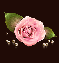 Brown-Bild-Rose