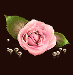 Brown-Bild-Rose