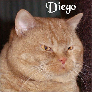 Diego vom Ottenthal
