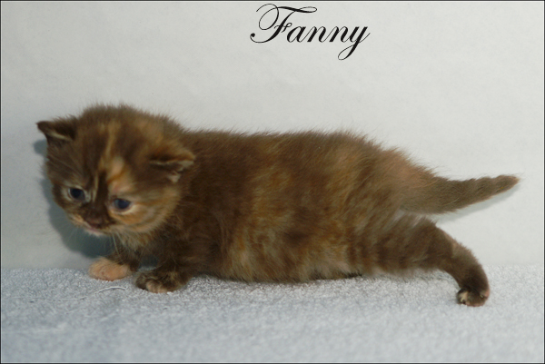 Fanny vom Ottenthal