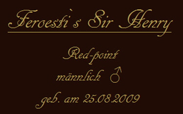 Feroesti`s Sir Henry