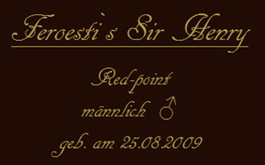 Feroesti`s Sir Henry