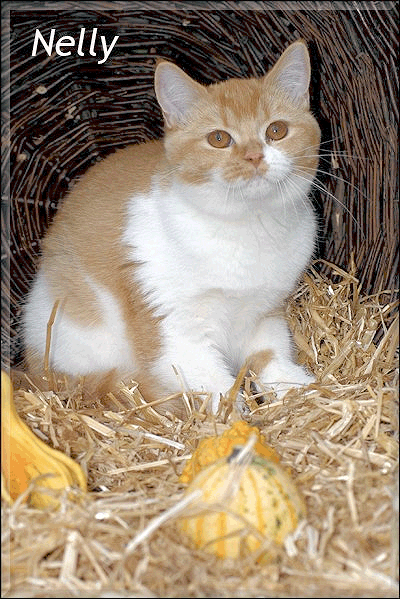 Nelly