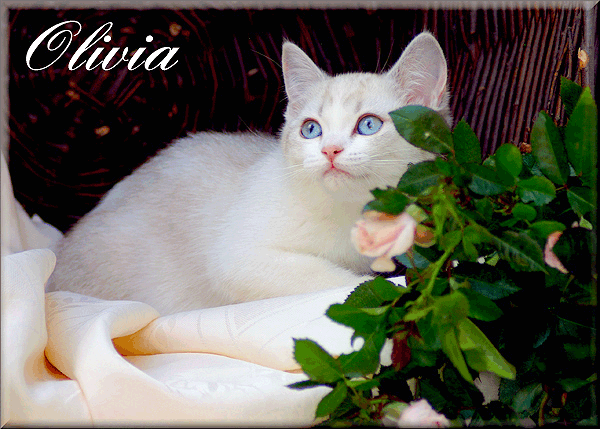 Olivia
