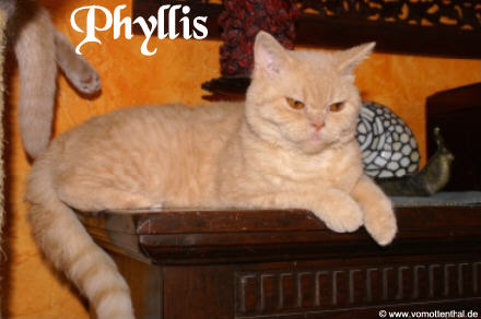 Phyllis vom Ottenthal