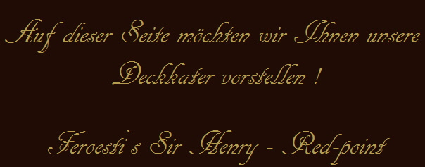 Sir-Henry-Schriftzug
