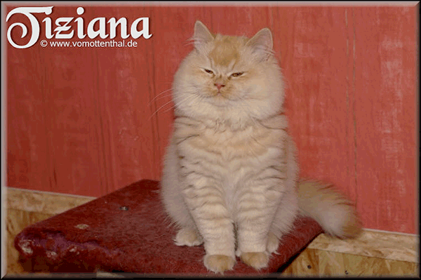 Tiziana