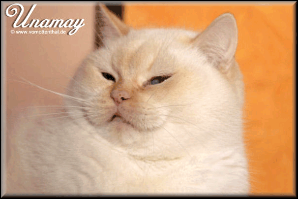 Unamay