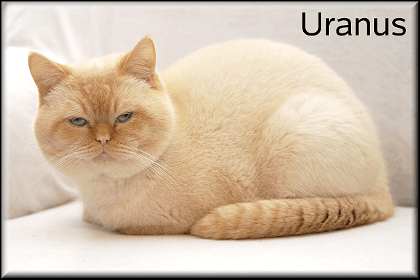 Uranus