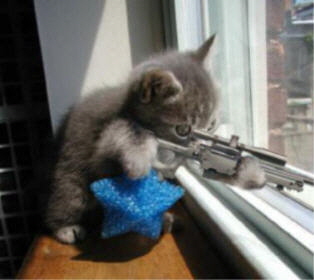 Katzensniper