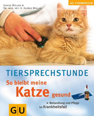 so bleibt meine Katze gesund